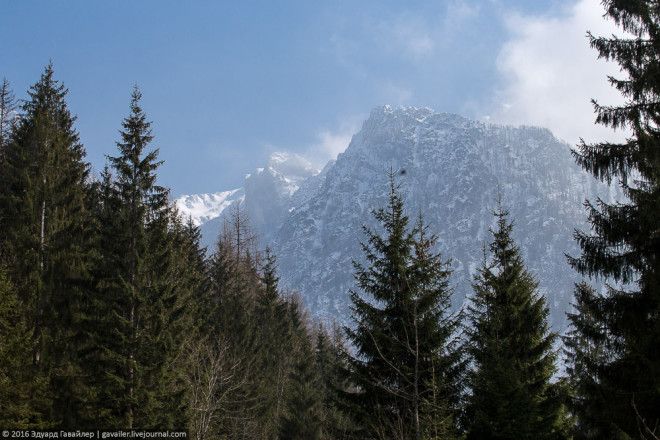 Лучший город в мире