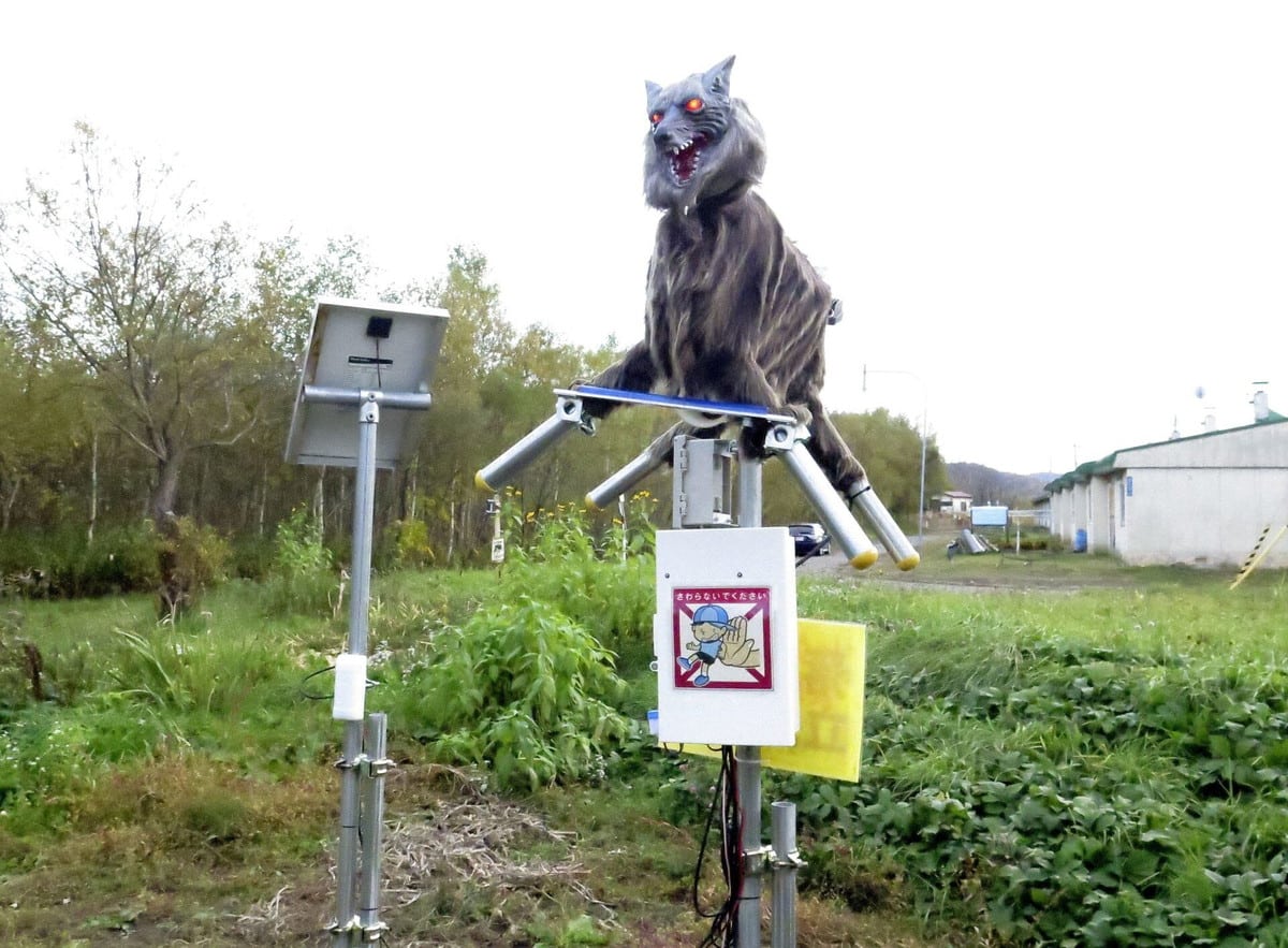 В Японии установили воющего робота для отпугивания медведей. И этот «Монстр-Волк» доведёт до инфаркта любого 11