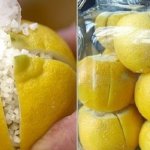 Она разрезала лимон и засыпала его солью. Взгляните на результат!