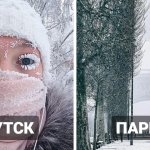 16 морозных снимков из разных стран, куда пробралась зима, и она везде оказалась по-своему хороша