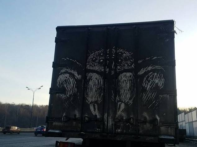 Очень необычный и красивый вид творчества: человек рисует на грязном налете грузовиков 55