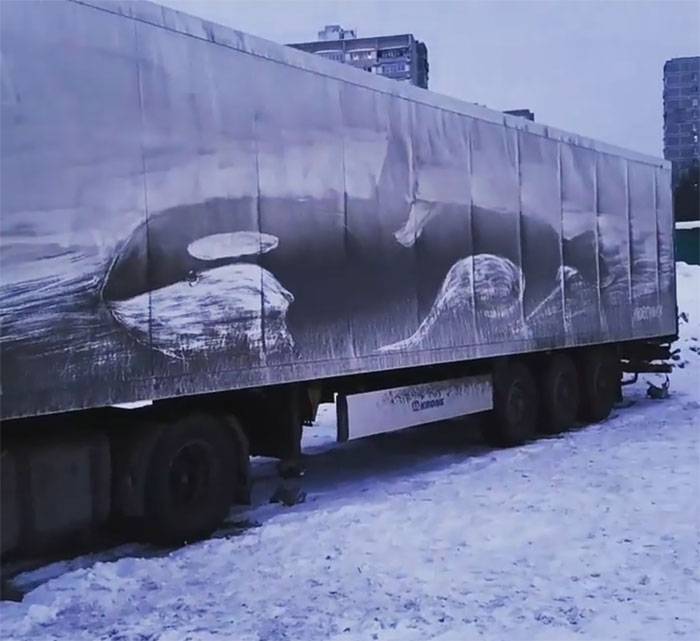 Очень необычный и красивый вид творчества: человек рисует на грязном налете грузовиков 56