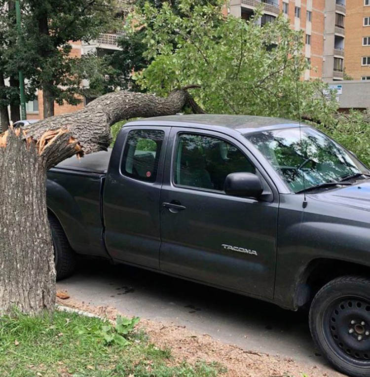 Настоящие баловни судьбы: фотографии, которые ярко демонстрируют, что такое — любовь Фортуны 54