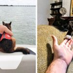 15 умилительных снимков, которые громче любых слов скажут о крепкой дружбе между людьми и животными