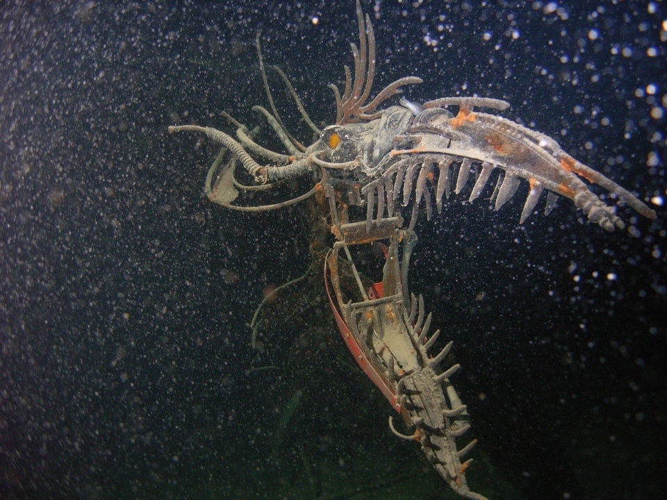 17 фотографий подводных объектов, которые способны любого напугать до чёртиков 60