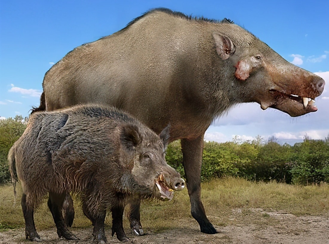15 наглядных сравнений размеров давно вымерших животных с их современными родственниками 49