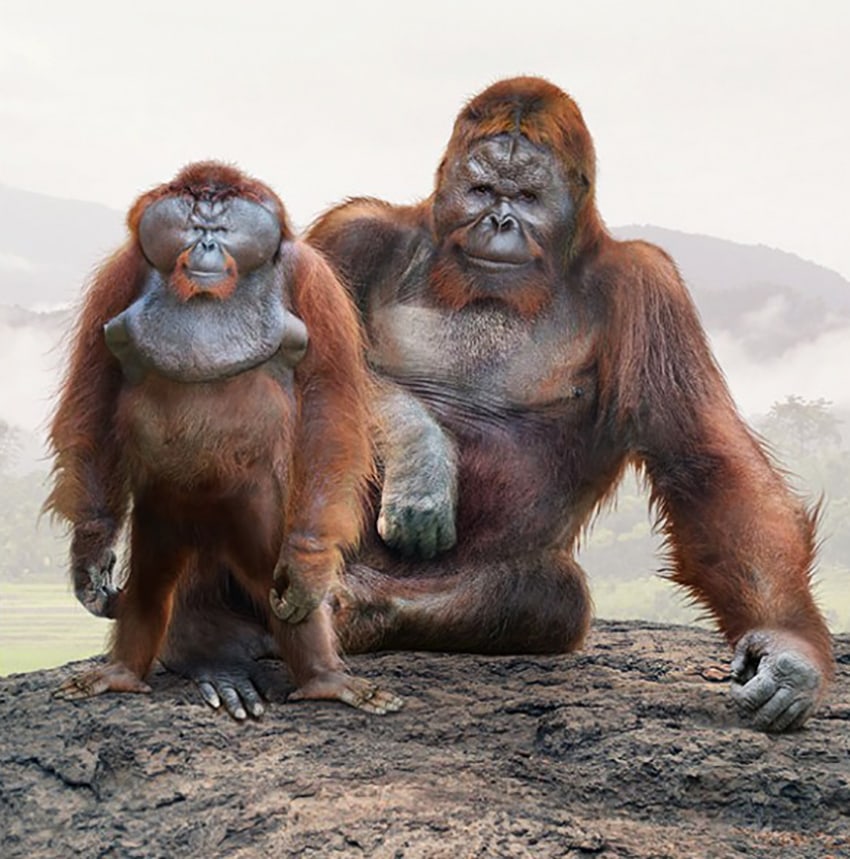 15 наглядных сравнений размеров давно вымерших животных с их современными родственниками 57