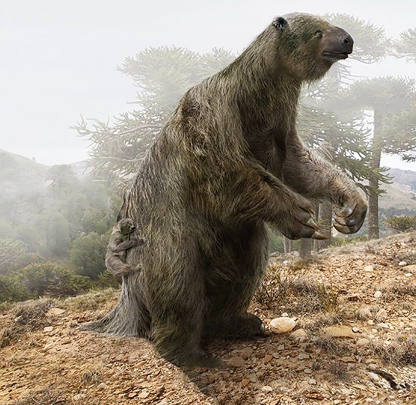 15 наглядных сравнений размеров давно вымерших животных с их современными родственниками 60