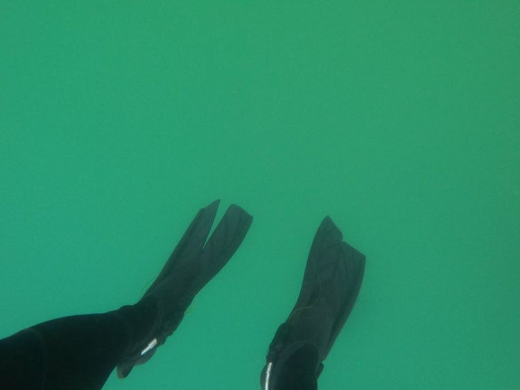 18 фотографий, которые ярко демонстрируют, что морские пучины скрывают страшные тайны 75