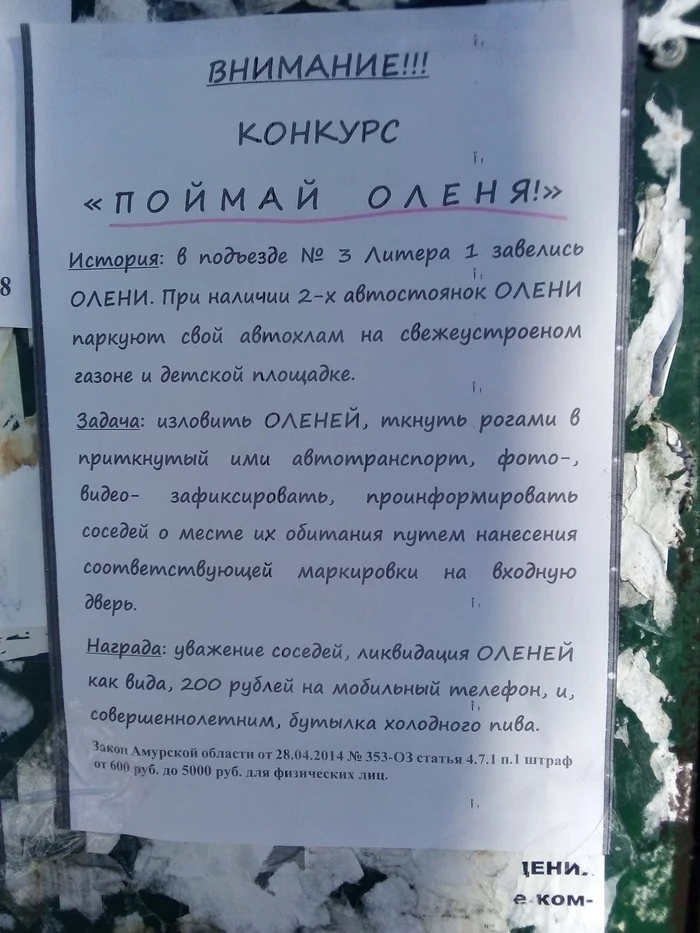 16 случаев, когда люди встречали странные и забавные объявления, и оставить их без внимания просто невозможно 62