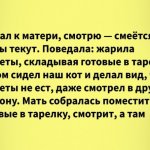 15+ забавных историй про котов, которые доказывают, что с ними всегда весело