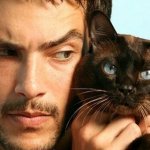 30 причин обменять жену на кошку