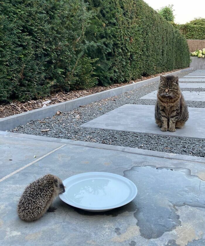 25 фото, которые наглядно иллюстрируют аномально-жаркое лето на Земле в 2022-м 86