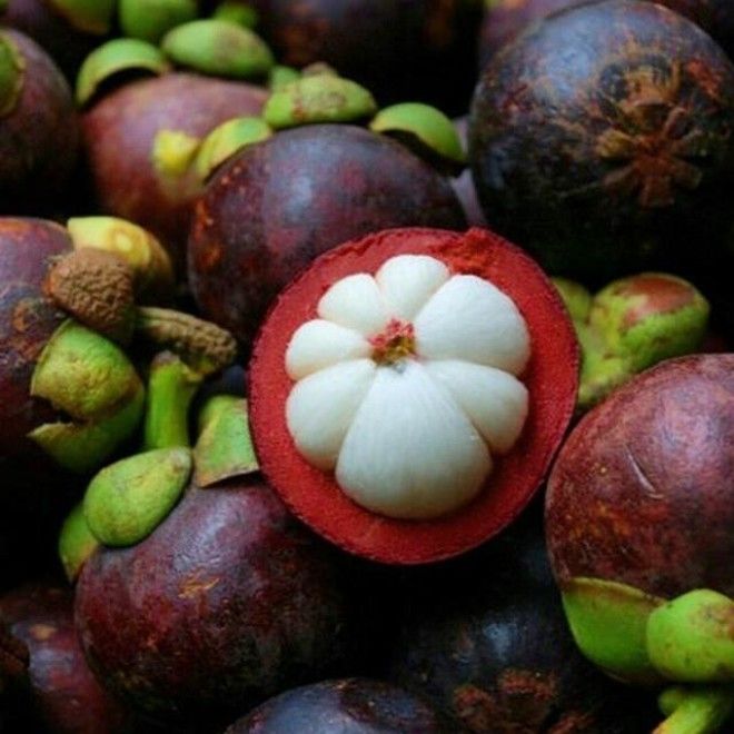 22 фрукта, о которых Вы никогда не слышали 45