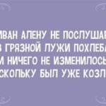 Саркастические стишки, которые гарантировано поднимут Вам настроение