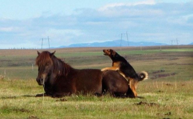 Они поверили в себя и вот, что из этого вышло 41