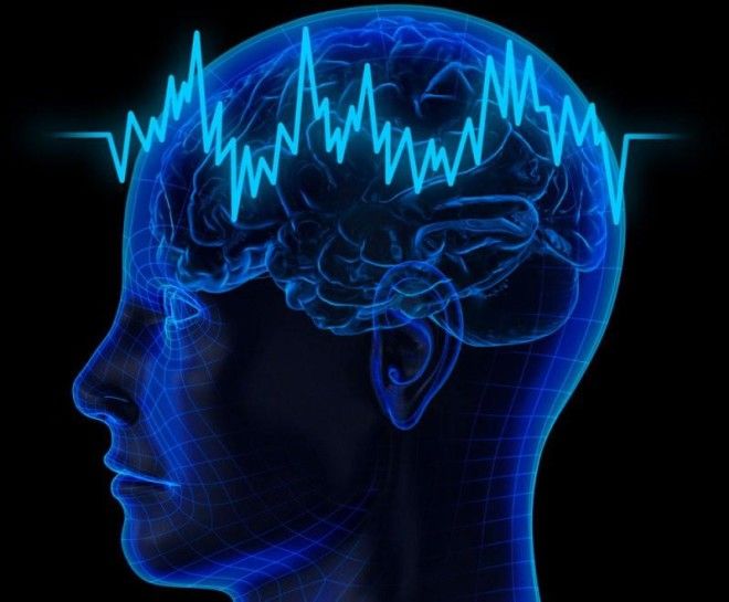 Эти 5 фактов о мозге изменят вашу жизнь 19