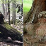 Монстры, люди и сказочные существа: 17 необычных деревьев, которые сумели мастерски притвориться чем-то другим