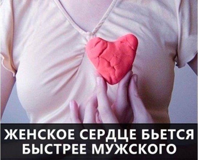 Самые интересные факты в мире в картинках 81