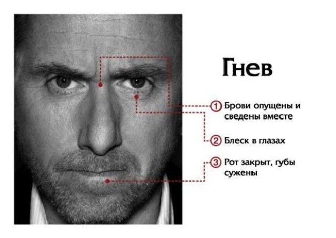 Как определить по лицу какой перед вами человек 31