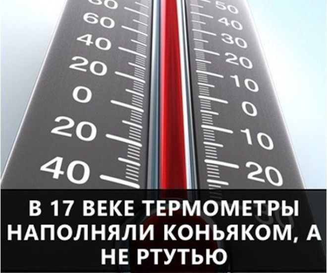 Самые интересные факты в мире в картинках 84