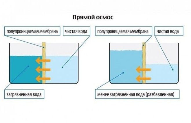 Водопроводная бутилированная фильтрованная какую воду стоит пить