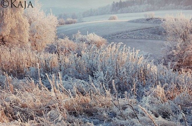 Мир глазами фотографа с синдромом Дауна