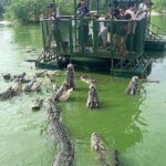 Самый страшный в мире аттракцион с крокодилами